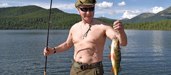 Tổng thống  Vladimir Putin bơi ở thác hồ trên núi tại Cộng hòa Tyva - Sputnik Việt Nam