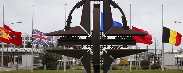 NATO và Hoa ky - Sputnik Việt Nam