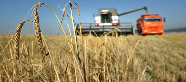 Nông nghiệp Nga - Sputnik Việt Nam