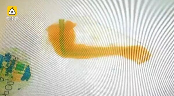 Cánh tay được phát hiện - Sputnik Việt Nam