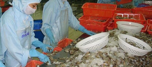 Việc tăng thuế chống bán phá giá sẽ làm giảm tính cạnh tranh của tôm Việt Nam trên thị trường Mỹ Việc tăng thuế chống bán phá giá sẽ làm giảm tính cạnh tranh của tôm Việt Nam trên thị trường Mỹ - Sputnik Việt Nam