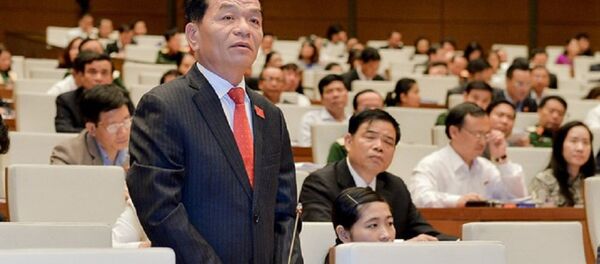 Đại biểu Quốc hội Lê Thanh Vân - Sputnik Việt Nam