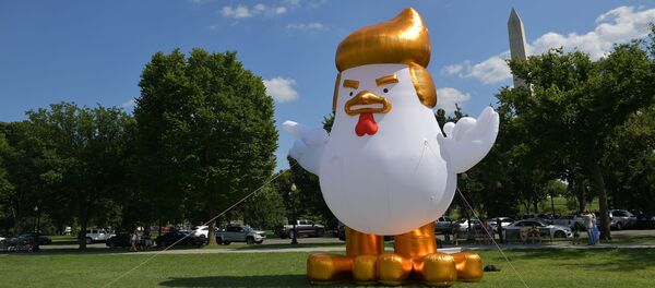 Con gà bơm hơi khổng lồ với mái tóc Trump cạnh Nhà Trắng Con gà bơm hơi khổng lồ với mái tóc Trump cạnh Nhà Trắng - Sputnik Việt Nam