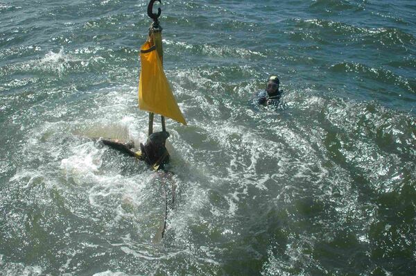 Bức tượng đại bàng bằng đồng nằm trên tàu tuần dương phát xít Đô đốc Graf Spee bị đắm ở cửa sông Rio de la Plata vào năm 1939 - Sputnik Việt Nam