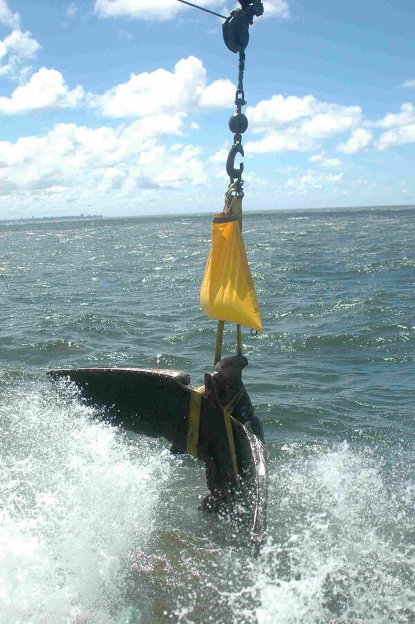 Bức tượng đại bàng bằng đồng nằm trên tàu tuần dương phát xít Đô đốc Graf Spee bị đắm ở cửa sông Rio de la Plata vào năm 1939 - Sputnik Việt Nam