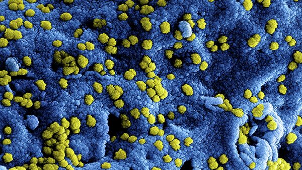 MERS Coronavirus Particles - Sputnik Việt Nam