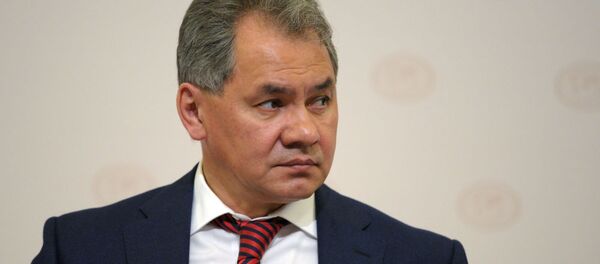 Bộ trưởng Quốc phòng Nga Sergei Shoigu - Sputnik Việt Nam