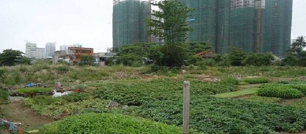 Khi “đùng một cái” thuế tăng 400% - Sputnik Việt Nam