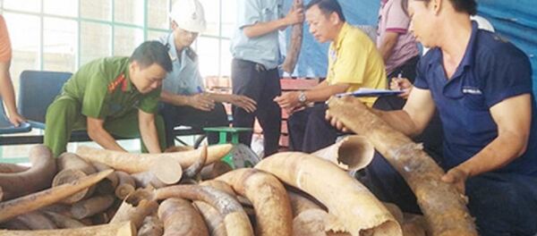 Buôn lậu ngà voi - Sputnik Việt Nam