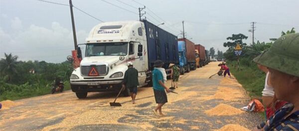 Tài xế van xin dân đừng hôi của hàng tấn ngô rơi từ container - Sputnik Việt Nam