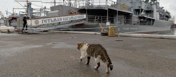 Ngành đóng tàu Ukraina - Sputnik Việt Nam