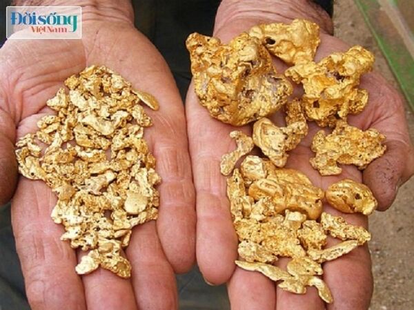 Ông Hòa bảo, vì vàng mà các chiến hữu của ông đã phải bỏ mạng nơi rừng thẳm Ông Hòa bảo, vì vàng mà các chiến hữu của ông đã phải bỏ mạng nơi rừng thẳm - Sputnik Việt Nam