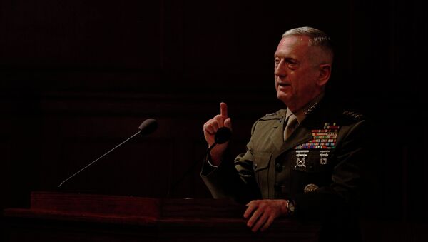 Bộ trưởng Quốc phòng Hoa Kỳ James Mattis - Sputnik Việt Nam