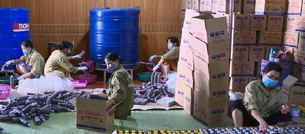 Rất bài bản quy củ khi đoàn kiểm tra “bất ngờ xuất hiện”. - Sputnik Việt Nam