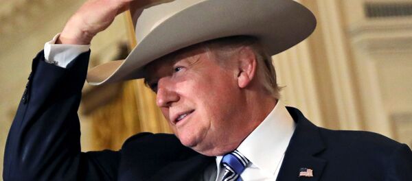 Tổng thống Hoa Kỳ Donald Trump - Sputnik Việt Nam