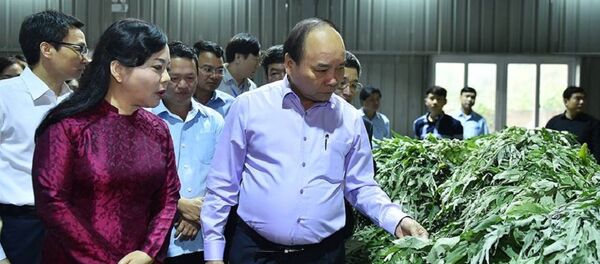 Bộ trưởng Bộ Y tế cùng Thủ Tướng Nguyễn Xuân Phúc Bộ trưởng Bộ Y tế cùng Thủ Tướng Nguyễn Xuân Phúc - Sputnik Việt Nam