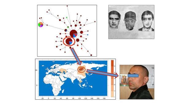 Hình minh họa sơ đồ nguồn gốc của kẻ hiếp dâm từ Novosibirsk. - Sputnik Việt Nam
