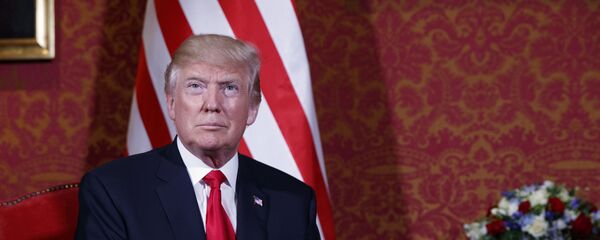 Tổng thống Mỹ Donald Trump - Sputnik Việt Nam