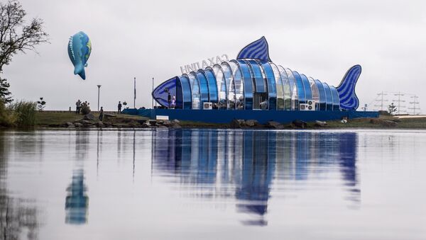 Khai mạc triển lãm Phố vùng Viễn Đông trong Diễn đàn Kinh tế Đông-2017 ở Vladivostok - Sputnik Việt Nam