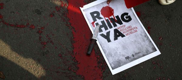 На митинге против насилия по отношению к мьянмарским мусульманам-рохинджа в Джакарте, Индонезии - Sputnik Việt Nam