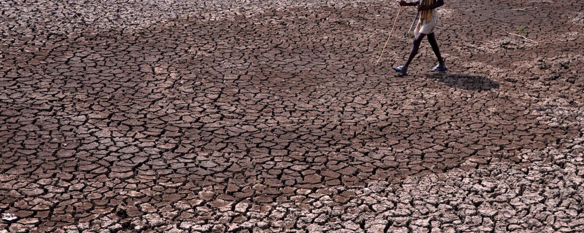  Người đàn ông đi dọc chiếc ao đang cạn nước ở Ấn Độ - Sputnik Việt Nam, 1920, 20.03.2025