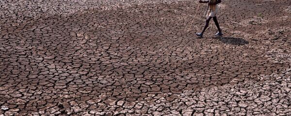 Người đàn ông đi dọc chiếc ao đang cạn nước ở Ấn Độ - Sputnik Việt Nam