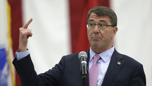 Bộ trưởng Bộ Quốc phòng Hoa Kỳ Ashton Carter - Sputnik Việt Nam