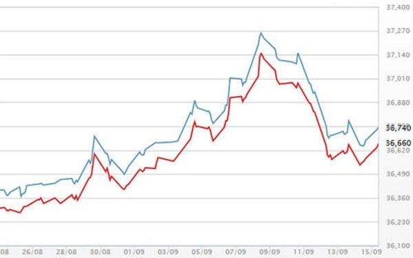 Diễn biến giá vàng SJC tại DOJI Diễn biến giá vàng SJC tại DOJI - Sputnik Việt Nam