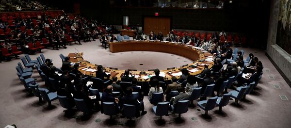 Hội đồng Bảo an LHQ Hội đồng Bảo an LHQ - Sputnik Việt Nam