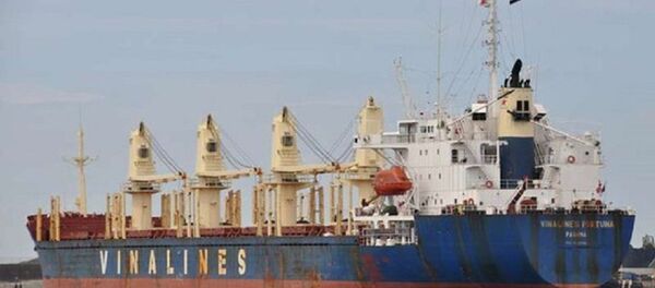 Các dự án đầu tư của công ty mẹ và các công ty con của Tổng Công ty Hàng hải Việt Nam (Vinalines) đang có dấu hiệu kém hiệu quả, thua lỗ - Sputnik Việt Nam