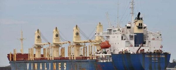 Các dự án đầu tư của công ty mẹ và các công ty con của Tổng Công ty Hàng hải Việt Nam (Vinalines) đang có dấu hiệu kém hiệu quả, thua lỗ - Sputnik Việt Nam
