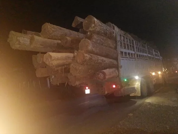 Xe chở gỗ được các doanh nghiệp đưa về tỉnh Gia Lai qua các cửa khẩu phụ Xe chở gỗ được các doanh nghiệp đưa về tỉnh Gia Lai qua các cửa khẩu phụ - Sputnik Việt Nam