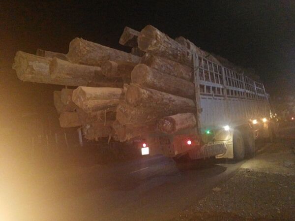 Xe chở gỗ được các doanh nghiệp đưa về tỉnh Gia Lai qua các cửa khẩu phụ - Sputnik Việt Nam