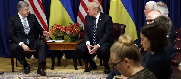 Tổng thống Hoa Kỳ Donald Trump và Tổng thống Ukraina Piotr Poroshenko Tổng thống Hoa Kỳ Donald Trump và Tổng thống Ukraina Piotr Poroshenko - Sputnik Việt Nam
