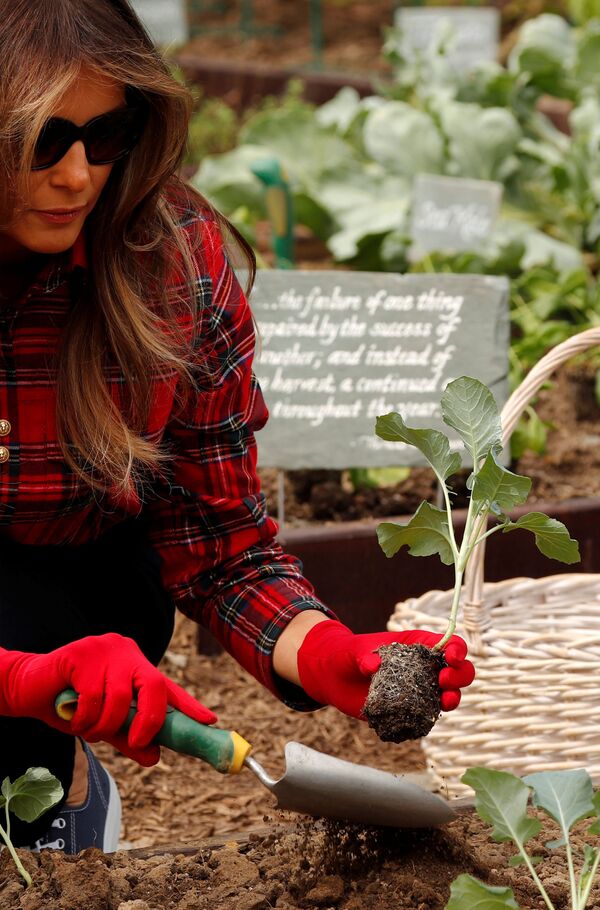 Đệ nhất phu nhân Mỹ Melania Trump trong vườn ở Nhà Trắng - Sputnik Việt Nam