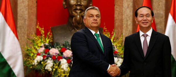 Chủ tịch nước Trần Đại Quang tiếp Thủ tướng Hungary Orbán Viktor đến chào xã giao - Sputnik Việt Nam