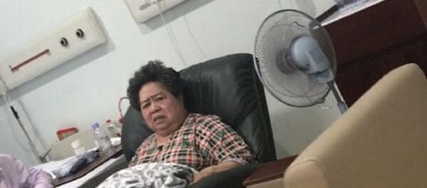 Bà Hứa Thị Phấn bị khởi tố về hành vi cố ý làm trái quy định của nhà nước về quản lý kinh tế gây hậu quả nghiêm trọng. Do bị lâm bệnh nên bà Phấn được tại ngoại điều tra. Bà Hứa Thị Phấn bị khởi tố về hành vi cố ý làm trái quy định của nhà nước về quản lý kinh tế gây hậu quả nghiêm trọng. Do bị lâm bệnh nên bà Phấn được tại ngoại điều tra. - Sputnik Việt Nam