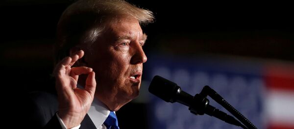 Tổng thống Hoa Kỳ Donald Trump - Sputnik Việt Nam