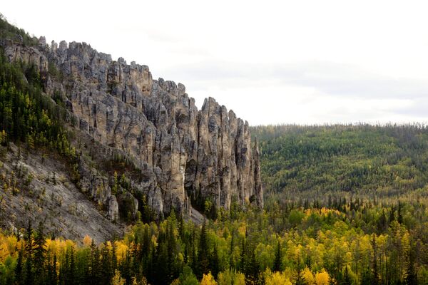 Công viên thiên nhiên quốc gia Cột đá Lenski ở Yakutia - Sputnik Việt Nam