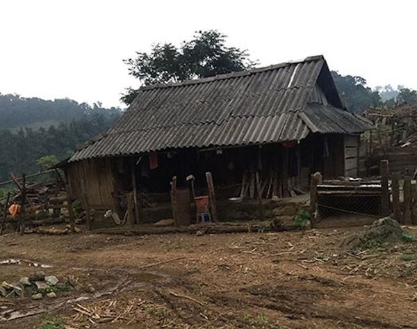 Lán nương nơi tử tù Nguyễn Văn Tình ẩn náu. - Sputnik Việt Nam