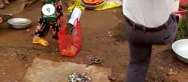 Sút tung đồ đạc người dân - Sputnik Việt Nam