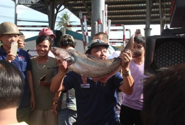 Tài xế mang cá tra đến 'cúng' trạm BOT tuyến tránh Biên Hòa - Sputnik Việt Nam