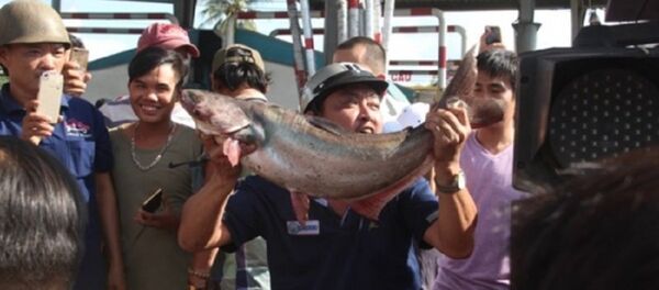 Tài xế mang cá tra đến 'cúng' trạm BOT tuyến tránh Biên Hòa - Sputnik Việt Nam