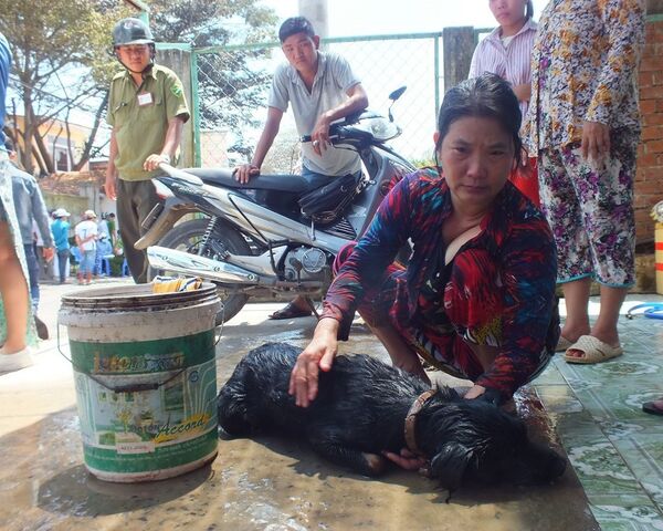 Người dân đang cấp cứu cho một chú chó bị ngạt khí Người dân đang cấp cứu cho một chú chó bị ngạt khí - Sputnik Việt Nam