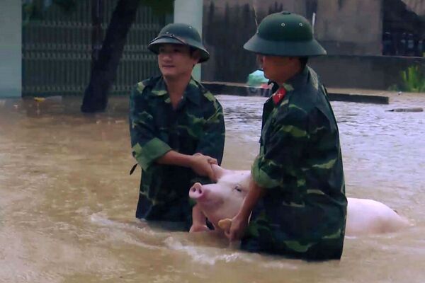 Tỉnh Thanh Hoá. Quân đội tham gia hoạt động cứu hộ. - Sputnik Việt Nam