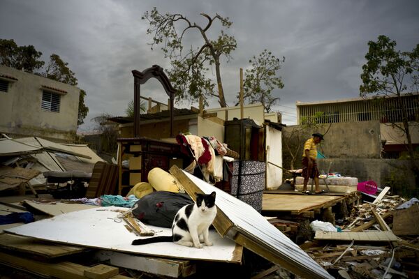 Puerto Rico. Hậu quả bão Maria. - Sputnik Việt Nam