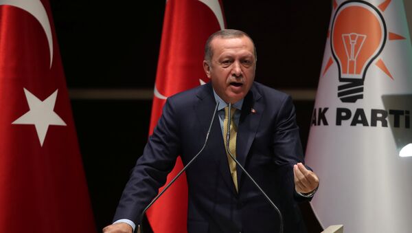 Recep Tayyip Erdogan - Sputnik Việt Nam