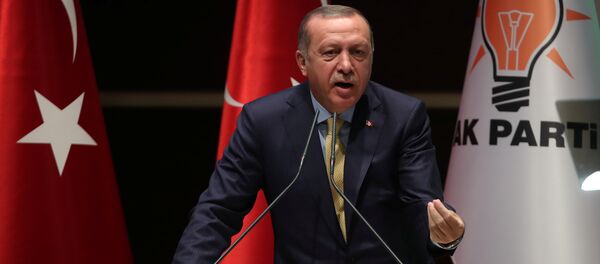 Recep Tayyip Erdogan - Sputnik Việt Nam
