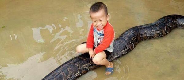 Bé trai chơi đùa cùng trăn khổng lồ trong sân nhà ngập nước sau lũ - Sputnik Việt Nam