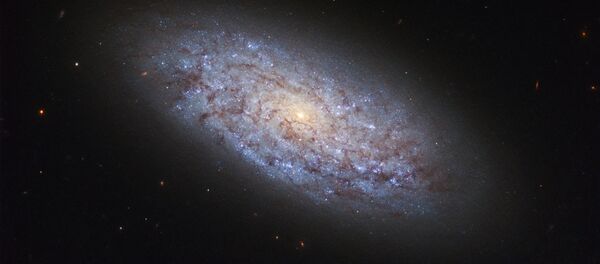 Thiên hà NGC 5949 Thiên hà NGC 5949 - Sputnik Việt Nam